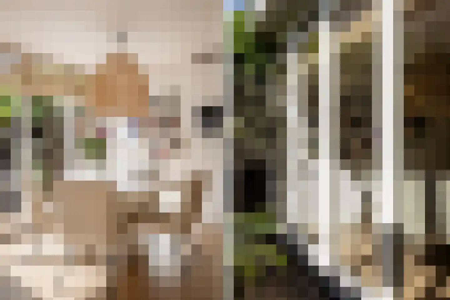 Trompstraat 16 Apeldoorn thumbnail 24