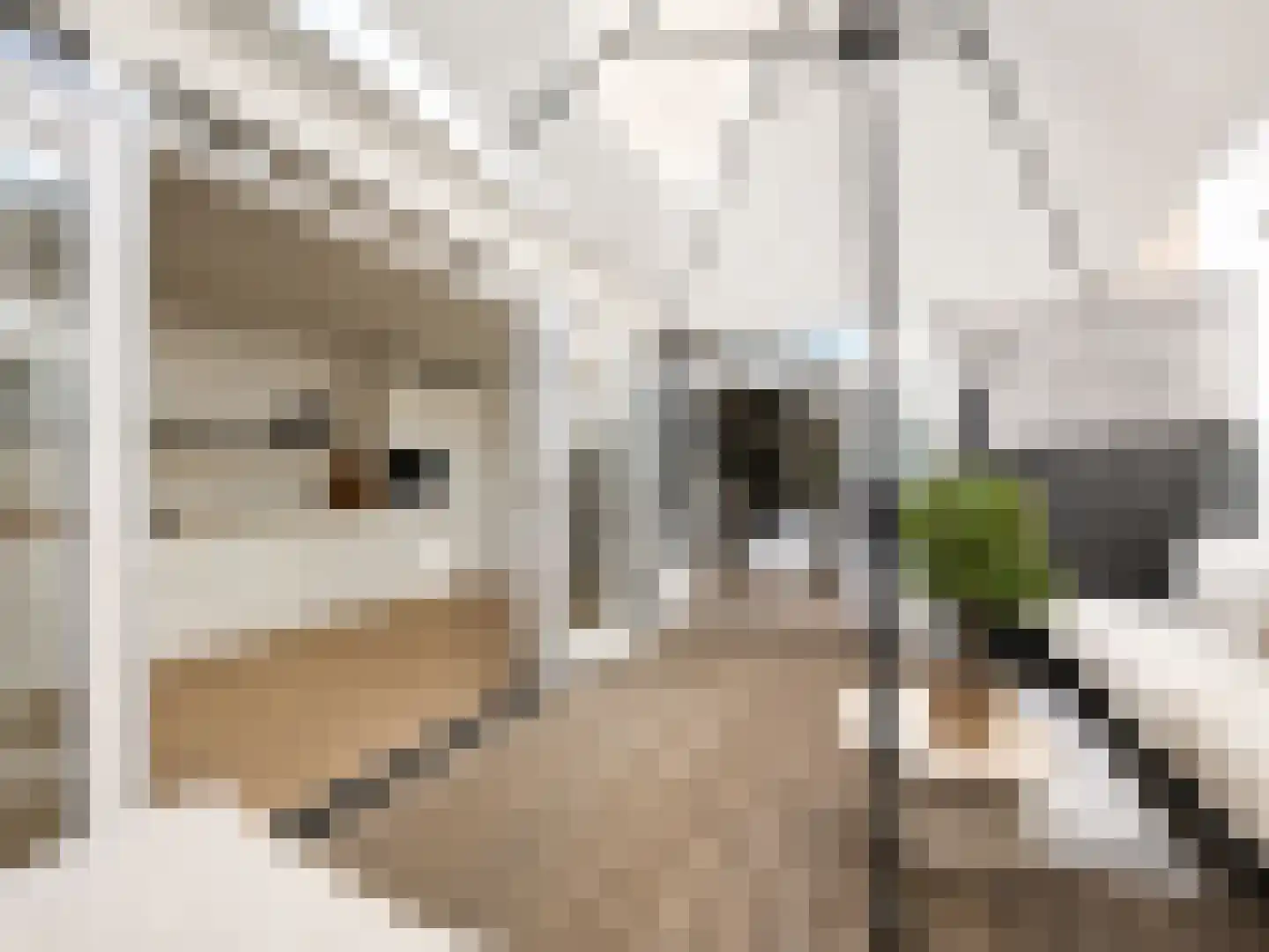 Trompstraat 16 Apeldoorn thumbnail 27