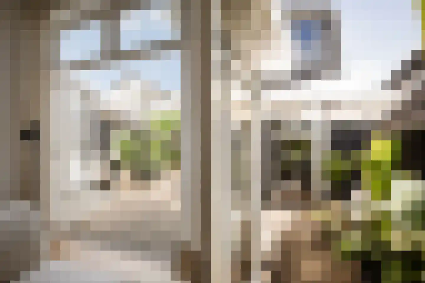 Trompstraat 16 Apeldoorn thumbnail 29