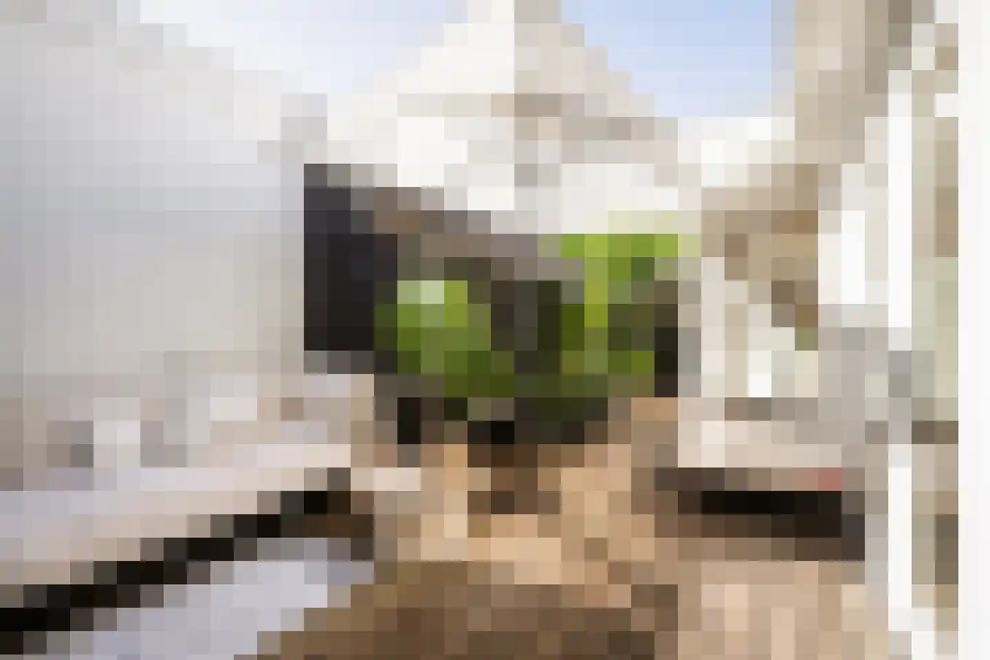 Trompstraat 16 Apeldoorn thumbnail 30