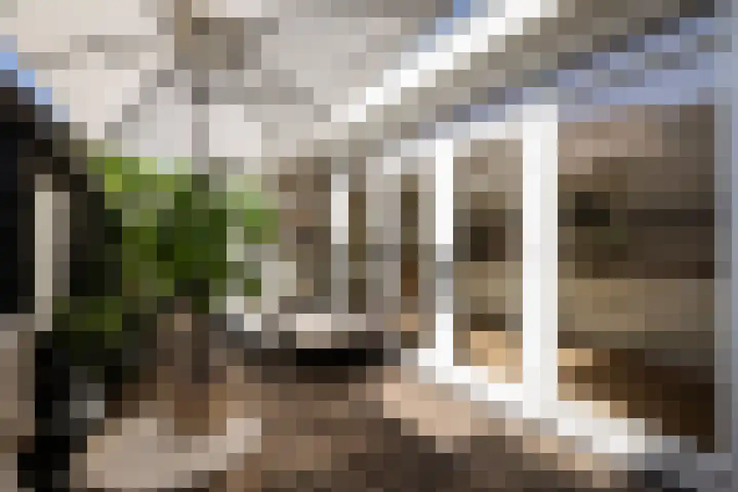 Trompstraat 16 Apeldoorn thumbnail 32