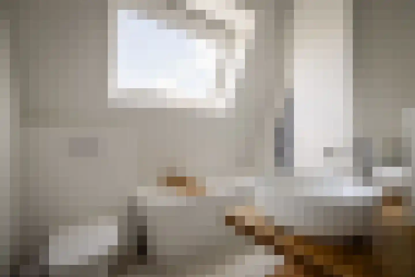 Trompstraat 16 Apeldoorn thumbnail 44