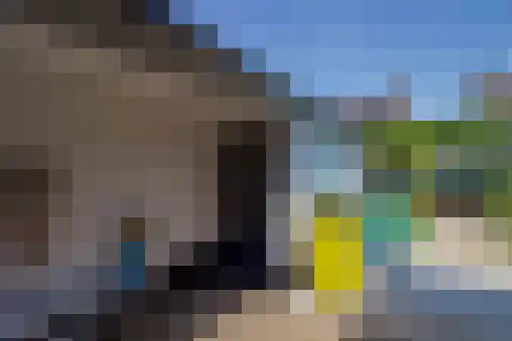Trompstraat 16 Bunschoten-Spakenburg thumbnail 32