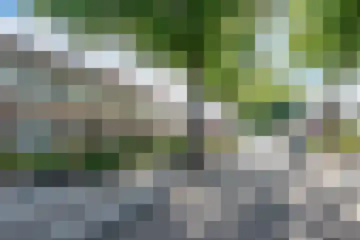 Trompstraat 16 Helmond thumbnail 8