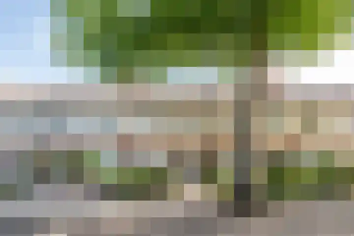 Trompstraat 16 Helmond thumbnail 9