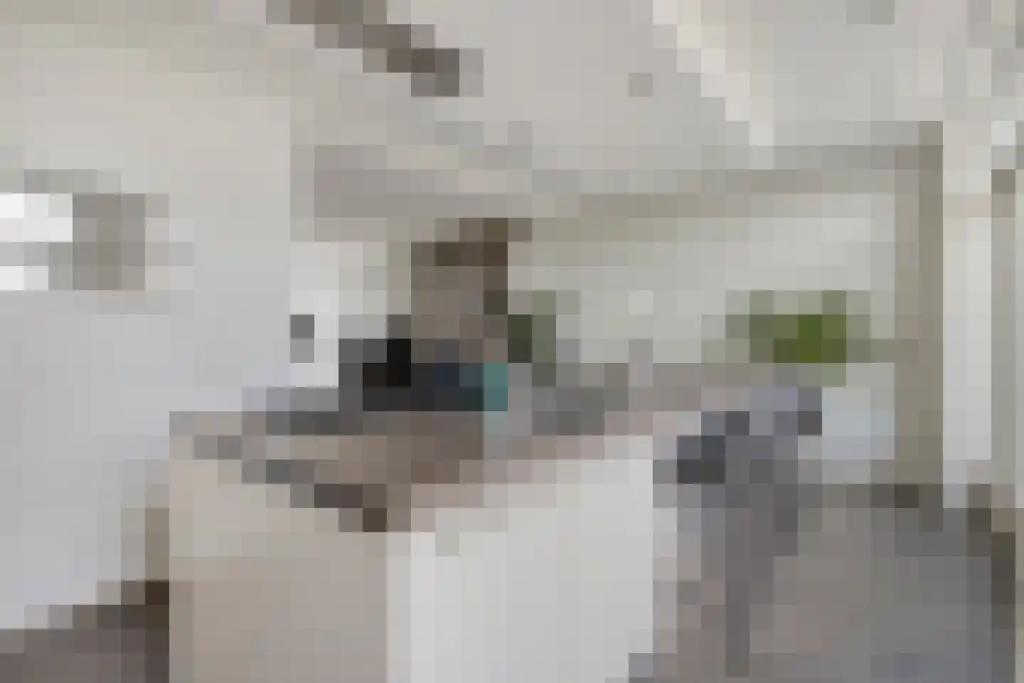 Trompstraat 17 Drunen thumbnail 13