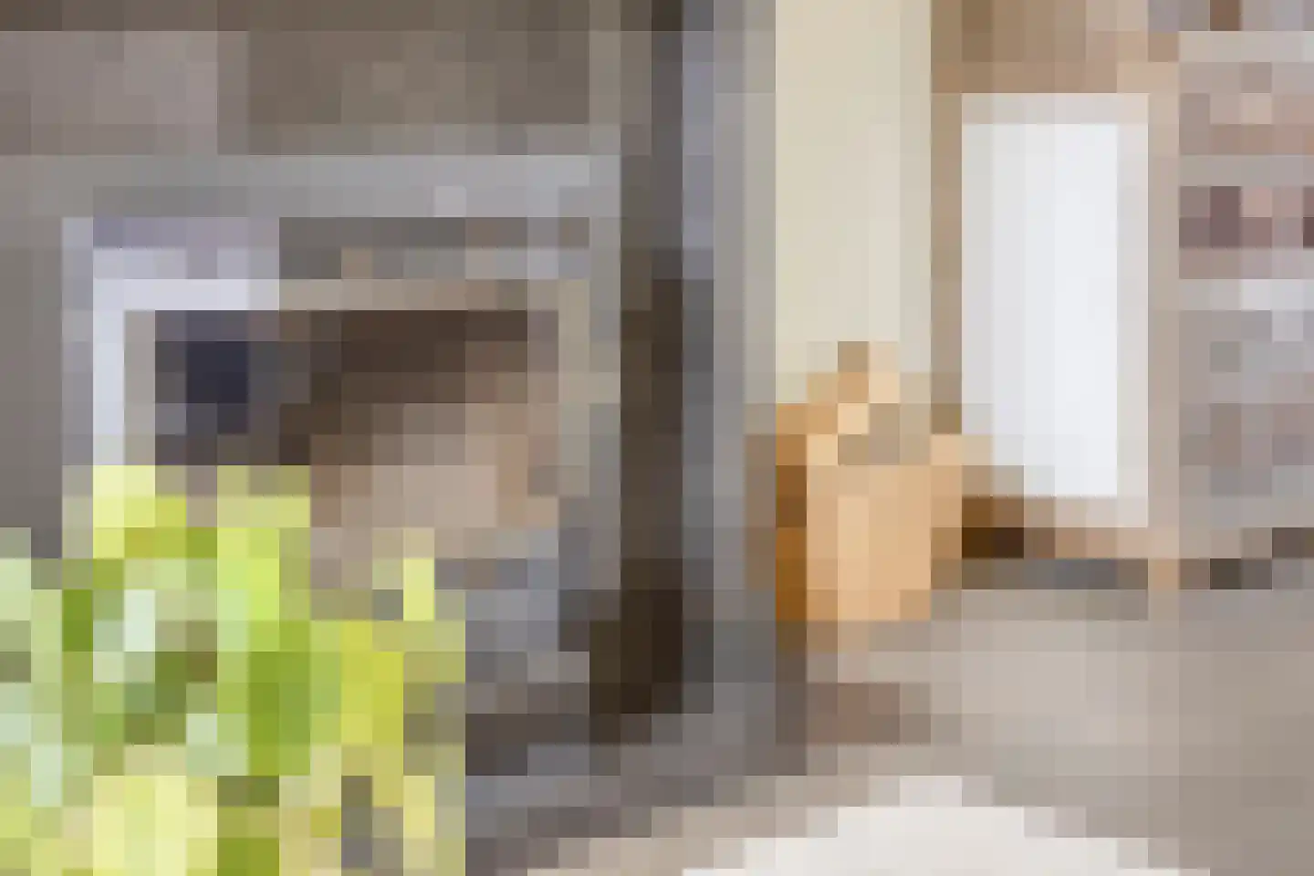 Trompstraat 17 Drunen thumbnail 15