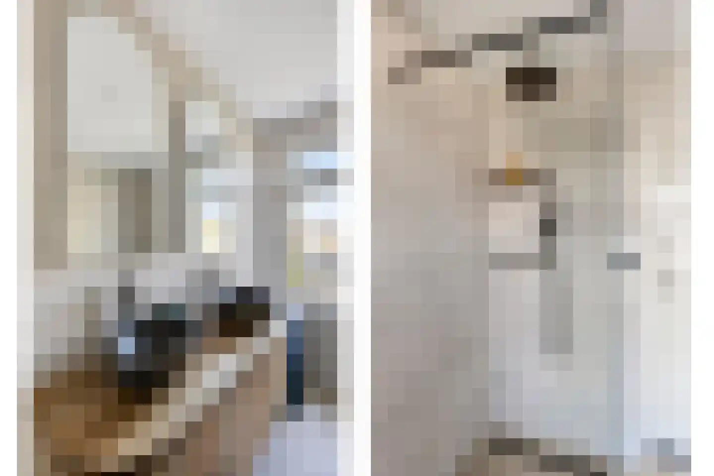 Trompstraat 17 Drunen thumbnail 28