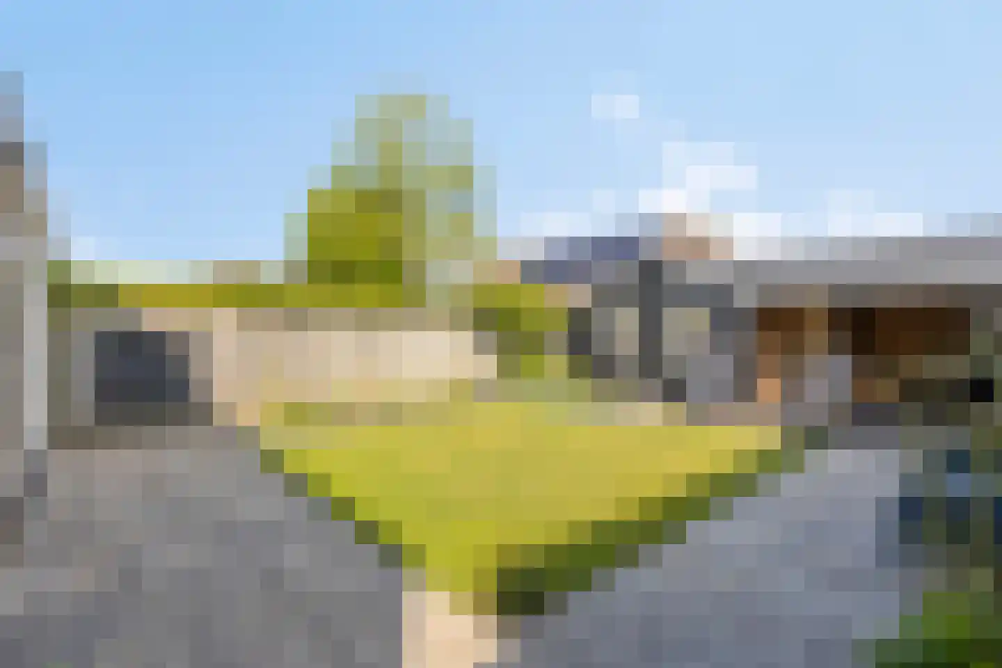 Trompstraat 17 Drunen thumbnail 36