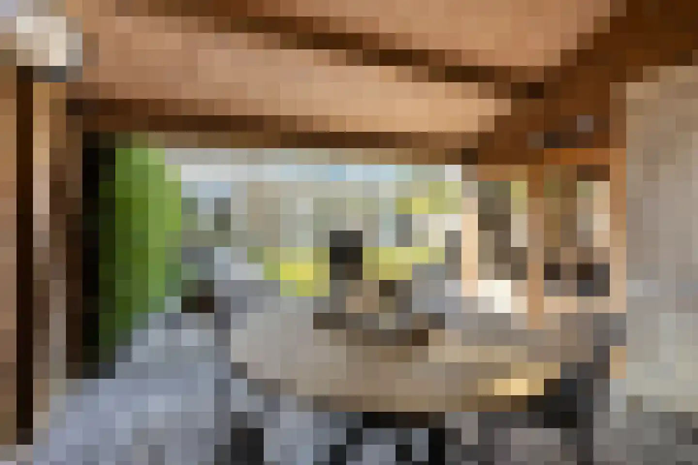 Trompstraat 17 Drunen thumbnail 41
