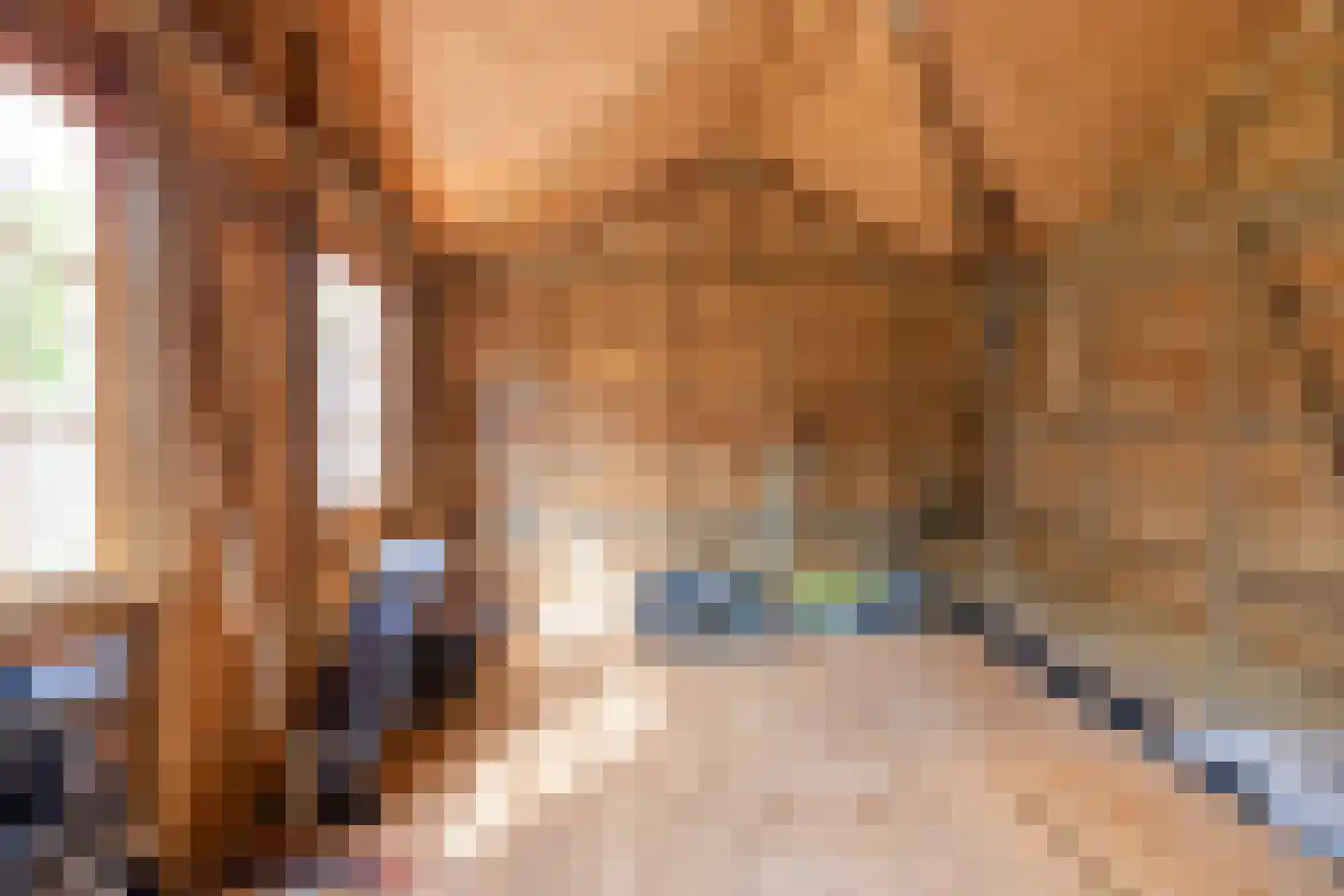 Trompstraat 17 Drunen thumbnail 44