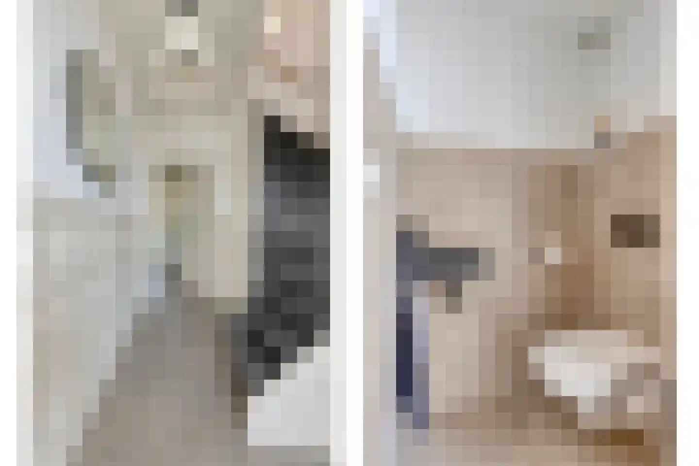 Trompstraat 17 Drunen thumbnail 6