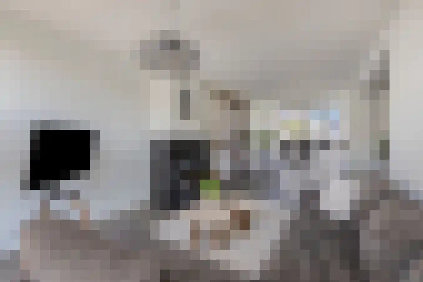 Trompstraat 17 Drunen thumbnail 8