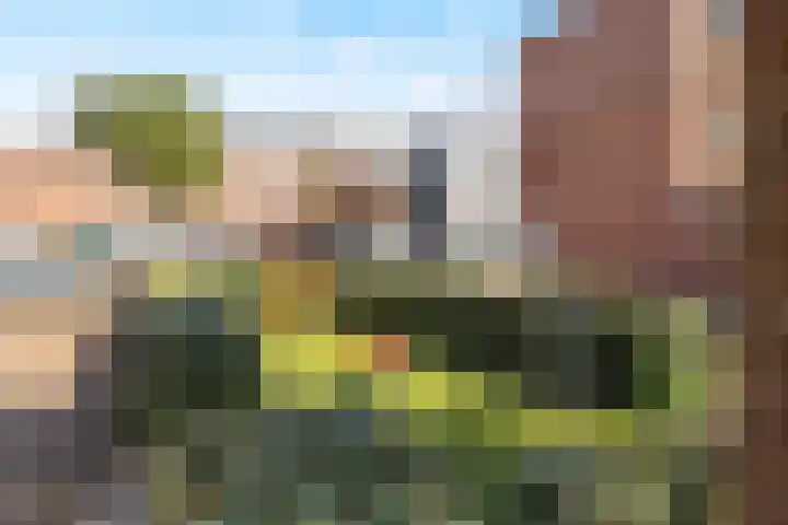 Trompstraat 172 IJmuiden thumbnail 32