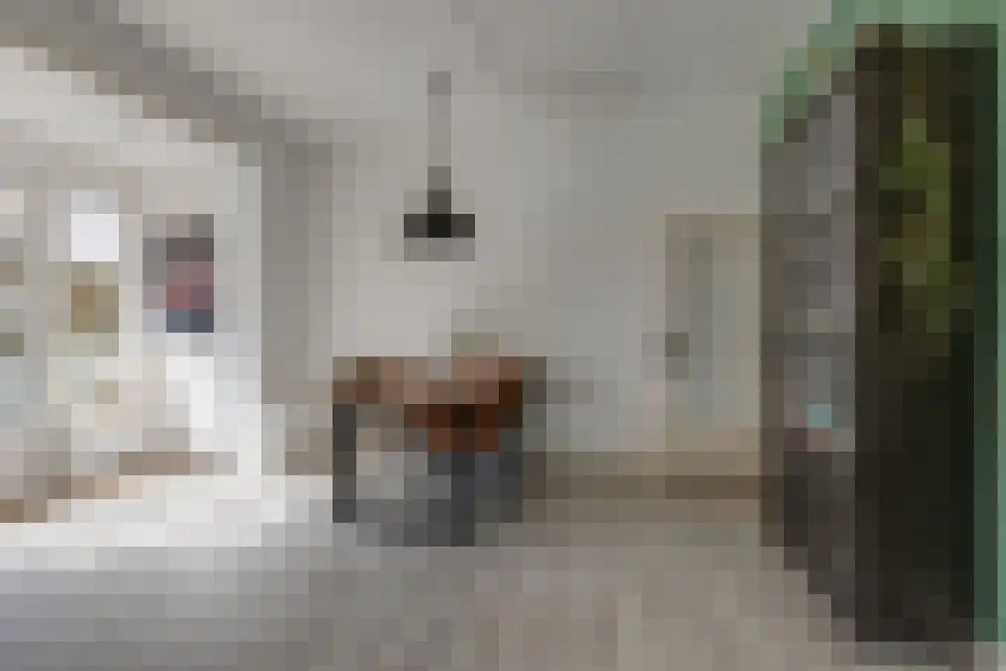 Trompstraat 18 Aalten thumbnail 10