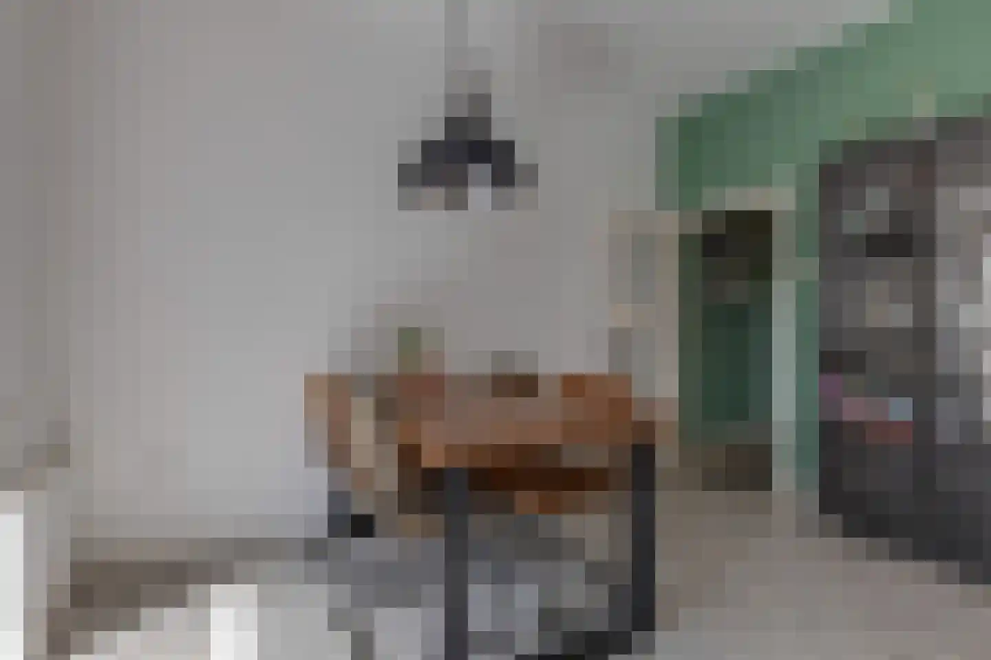 Trompstraat 18 Aalten thumbnail 12
