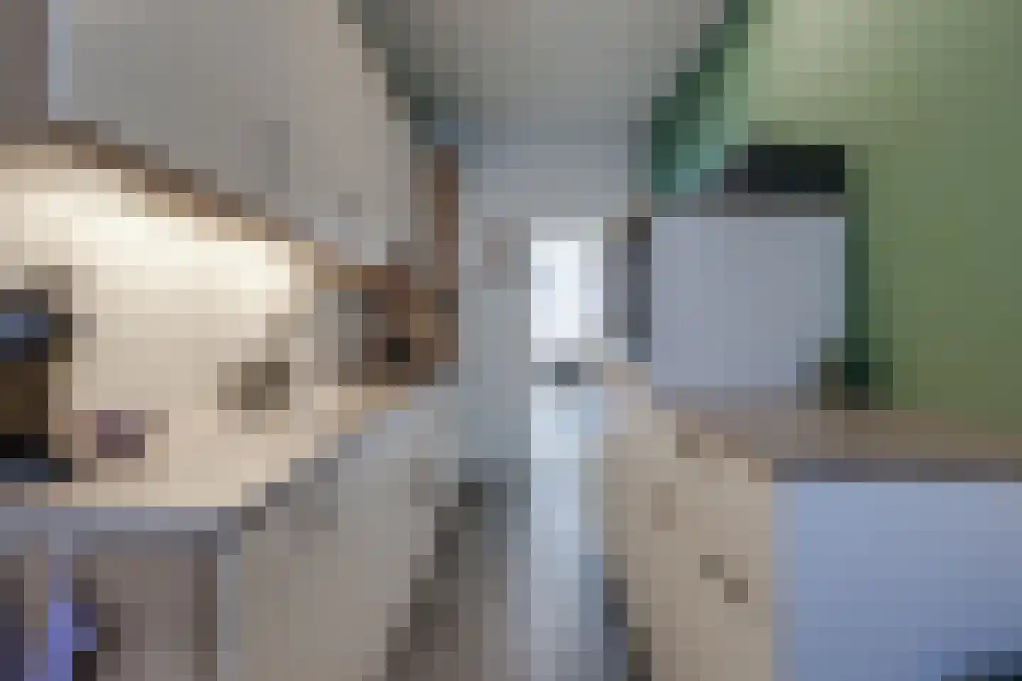 Trompstraat 18 Aalten thumbnail 16