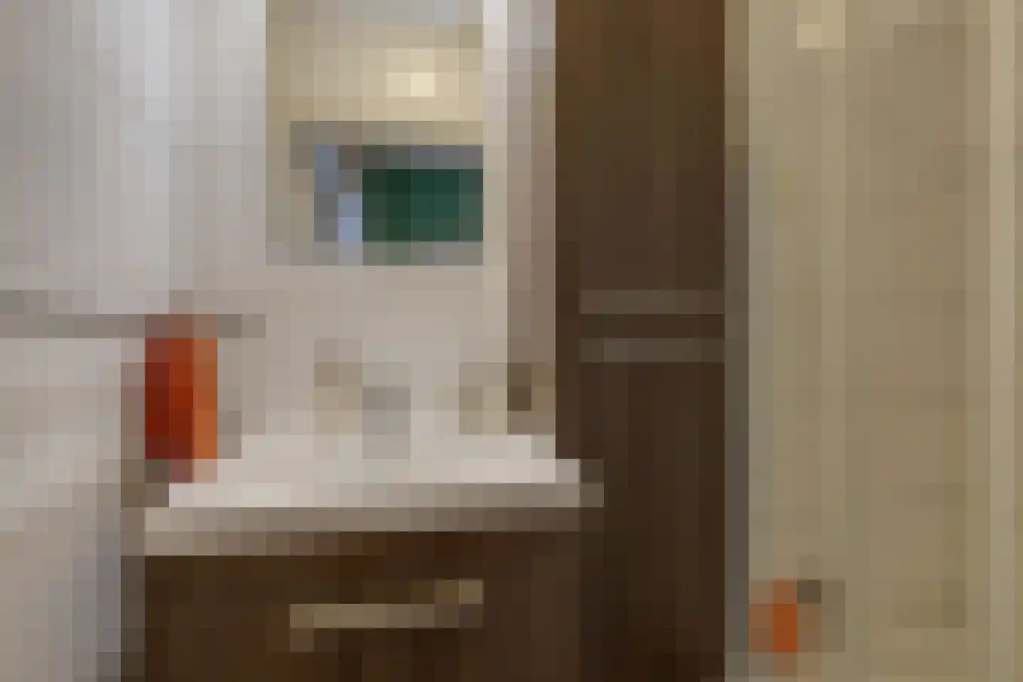 Trompstraat 18 Aalten thumbnail 17