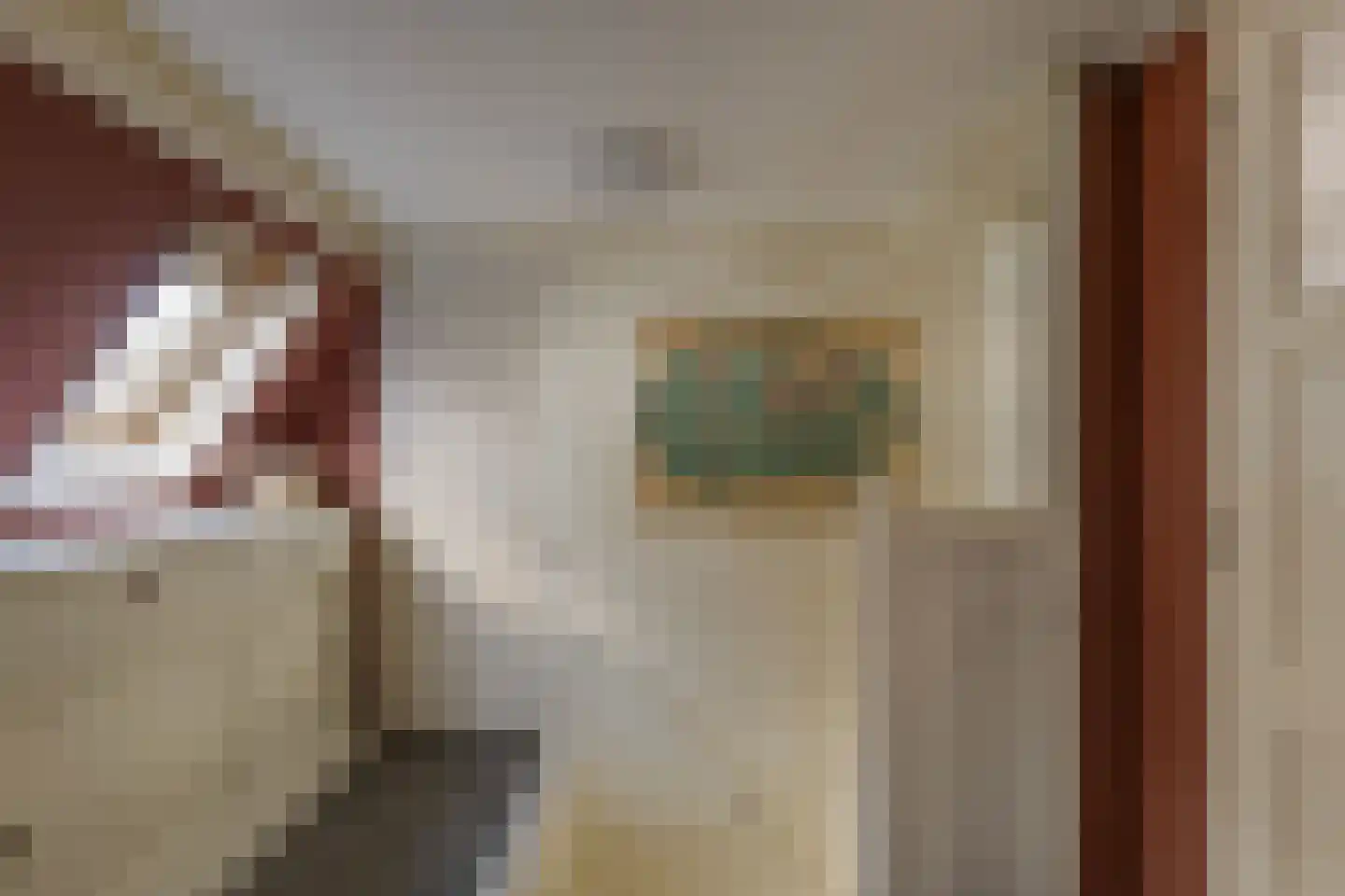Trompstraat 18 Aalten thumbnail 19