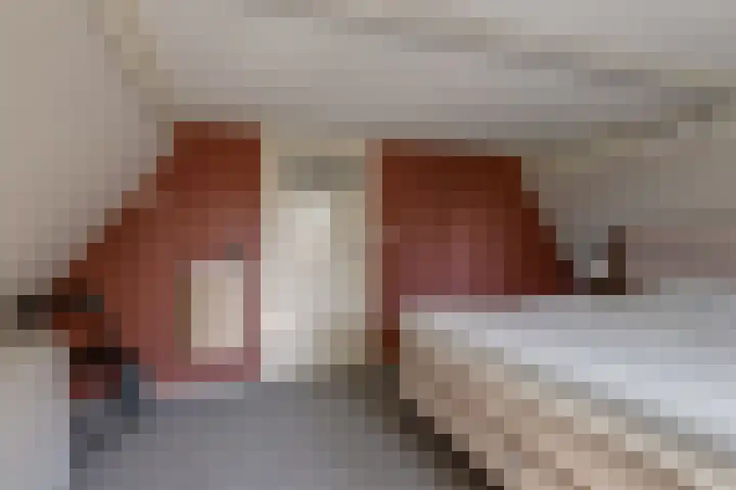 Trompstraat 18 Aalten thumbnail 22
