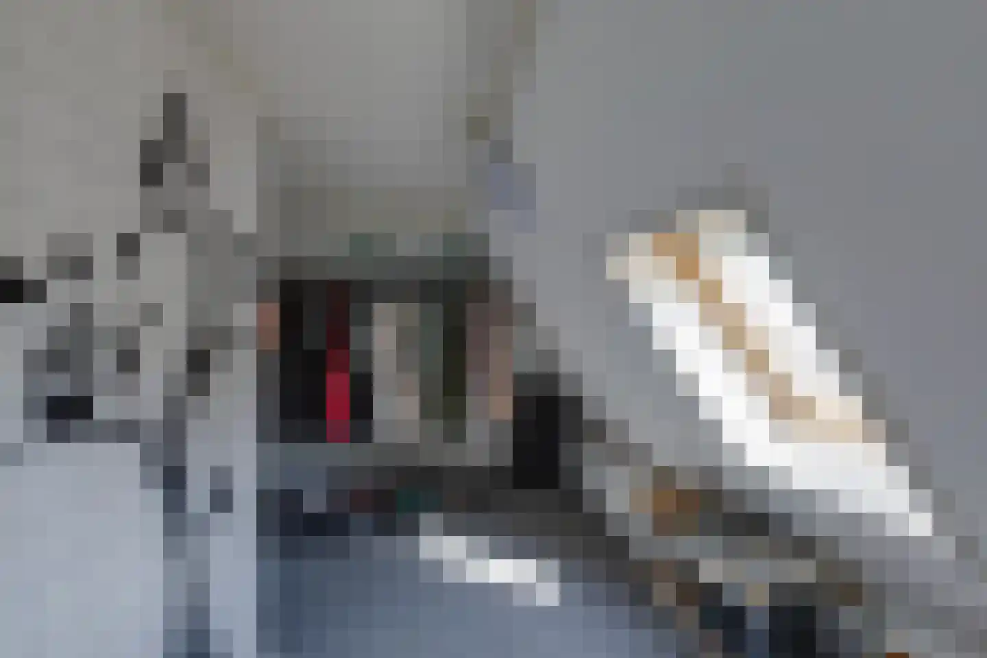 Trompstraat 18 Aalten thumbnail 23