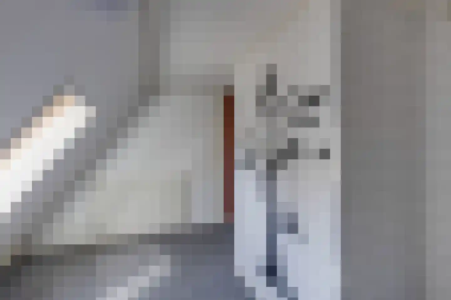 Trompstraat 18 Aalten thumbnail 24