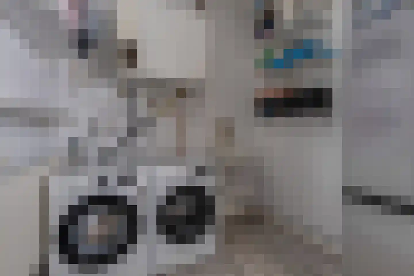 Trompstraat 18 Aalten thumbnail 27