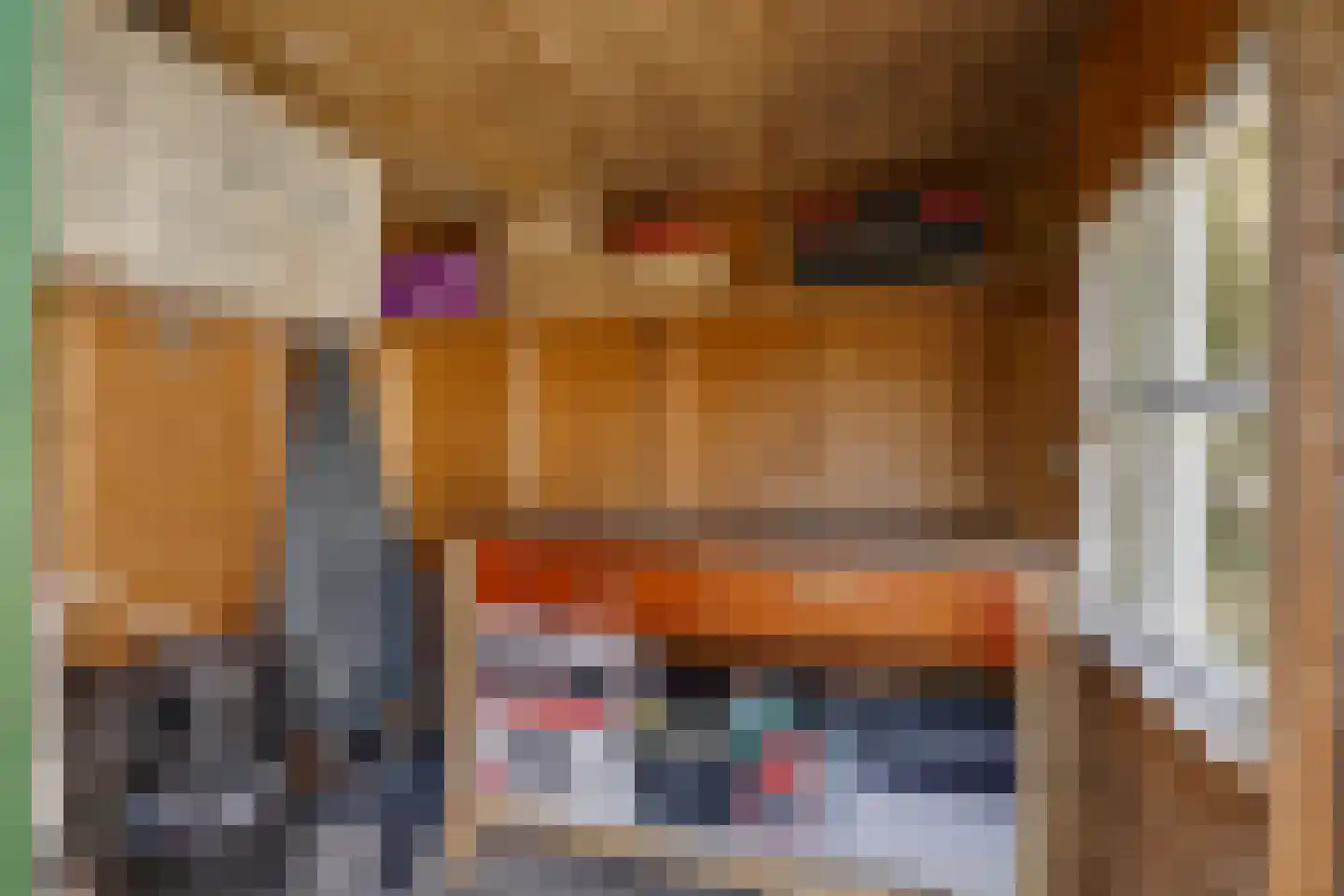 Trompstraat 18 Aalten thumbnail 28