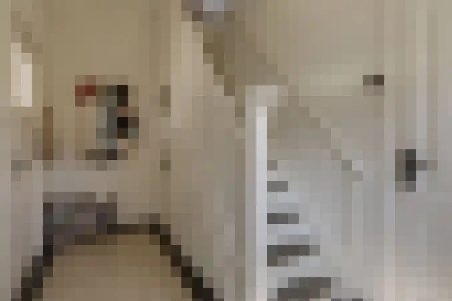 Trompstraat 18 Aalten thumbnail 5