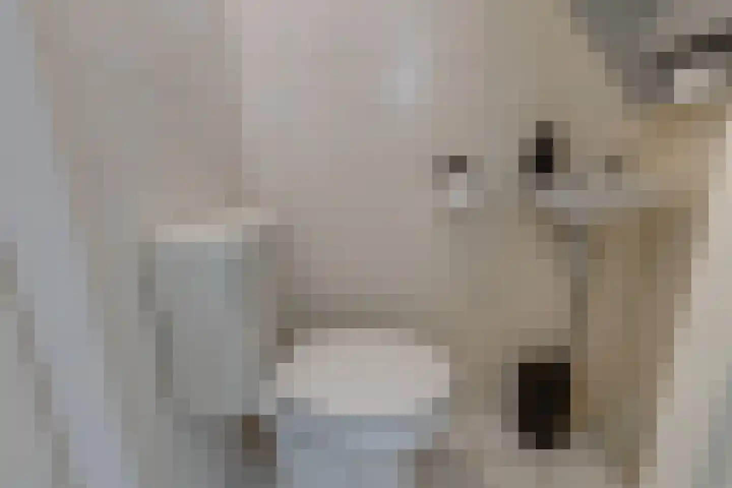 Trompstraat 18 Aalten thumbnail 6