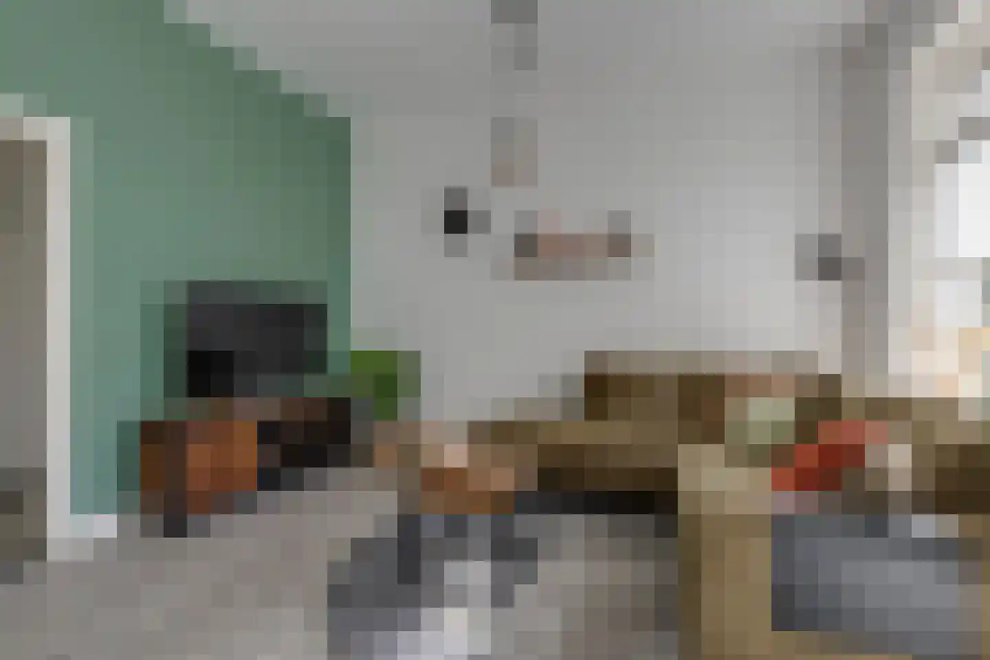 Trompstraat 18 Aalten thumbnail 9