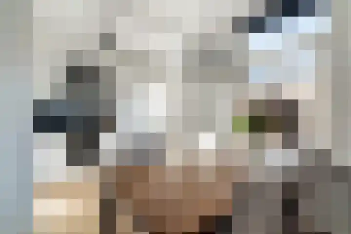 Trompstraat 18 Alphen aan den Rijn thumbnail 26
