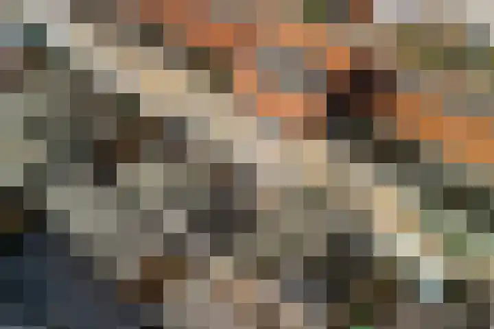Trompstraat 18 Alphen aan den Rijn thumbnail 35