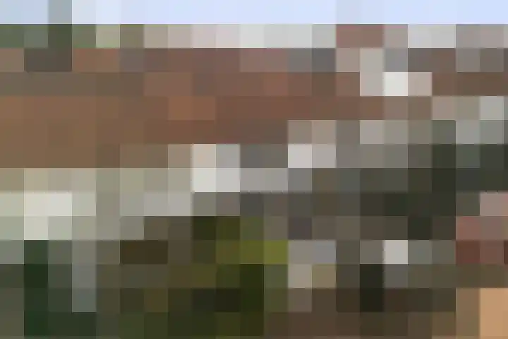 Trompstraat 18 Alphen aan den Rijn thumbnail 8