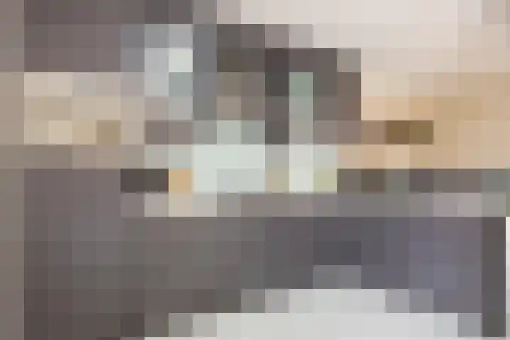 Trompstraat 18 Bedum thumbnail 14