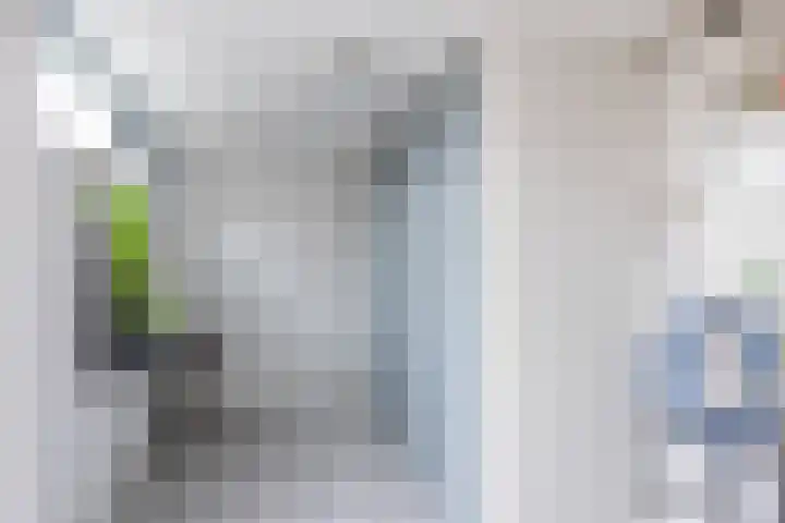 Trompstraat 18 Bedum thumbnail 16