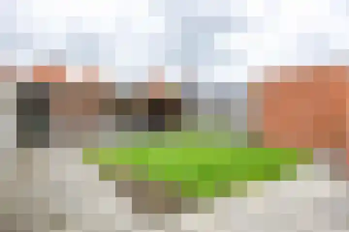 Trompstraat 18 Bedum thumbnail 29