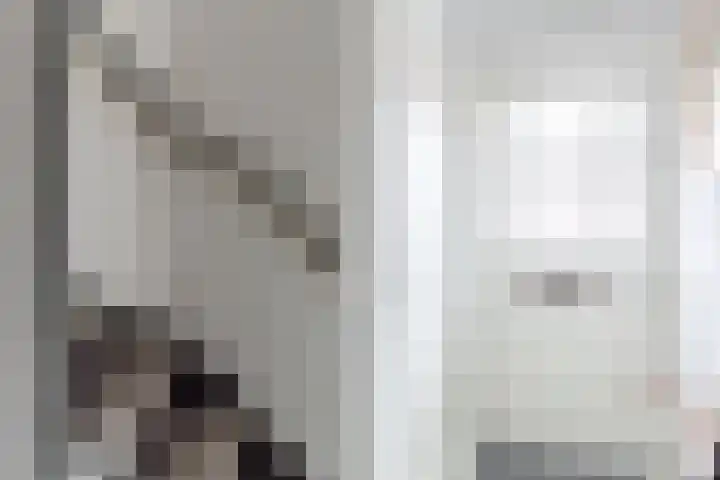 Trompstraat 18 Bedum thumbnail 6