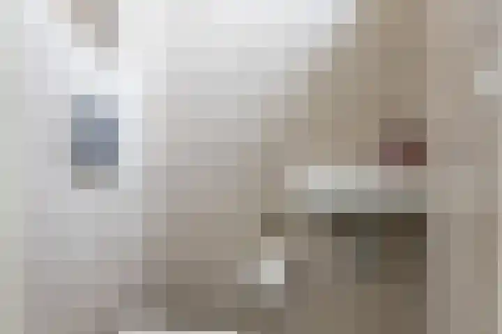 Trompstraat 18 Bedum thumbnail 7