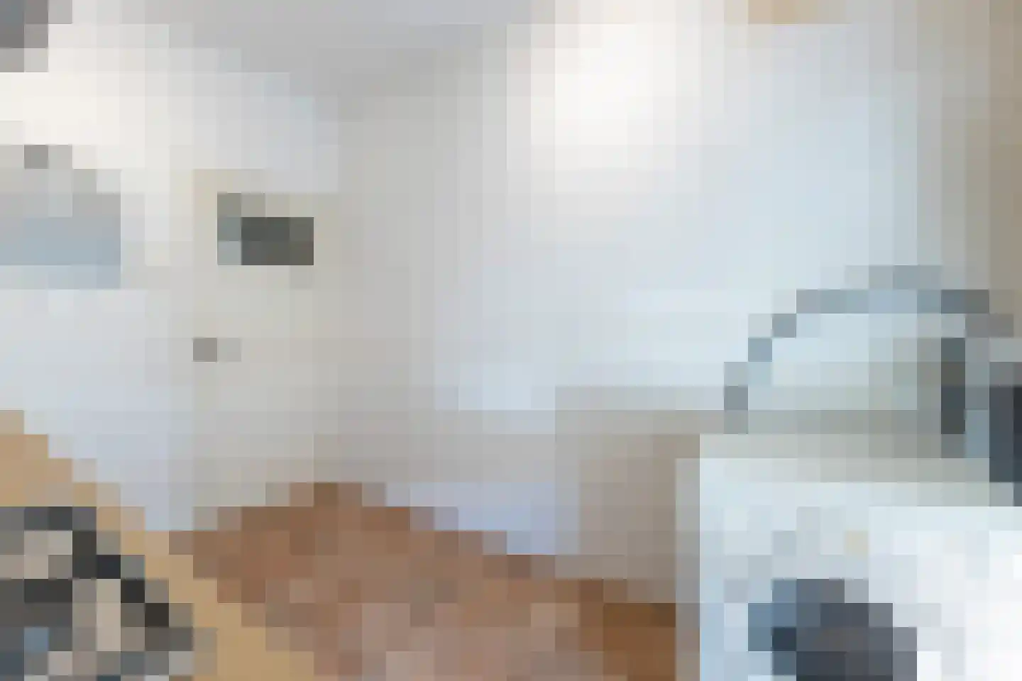 Trompstraat 2 Almelo thumbnail 43