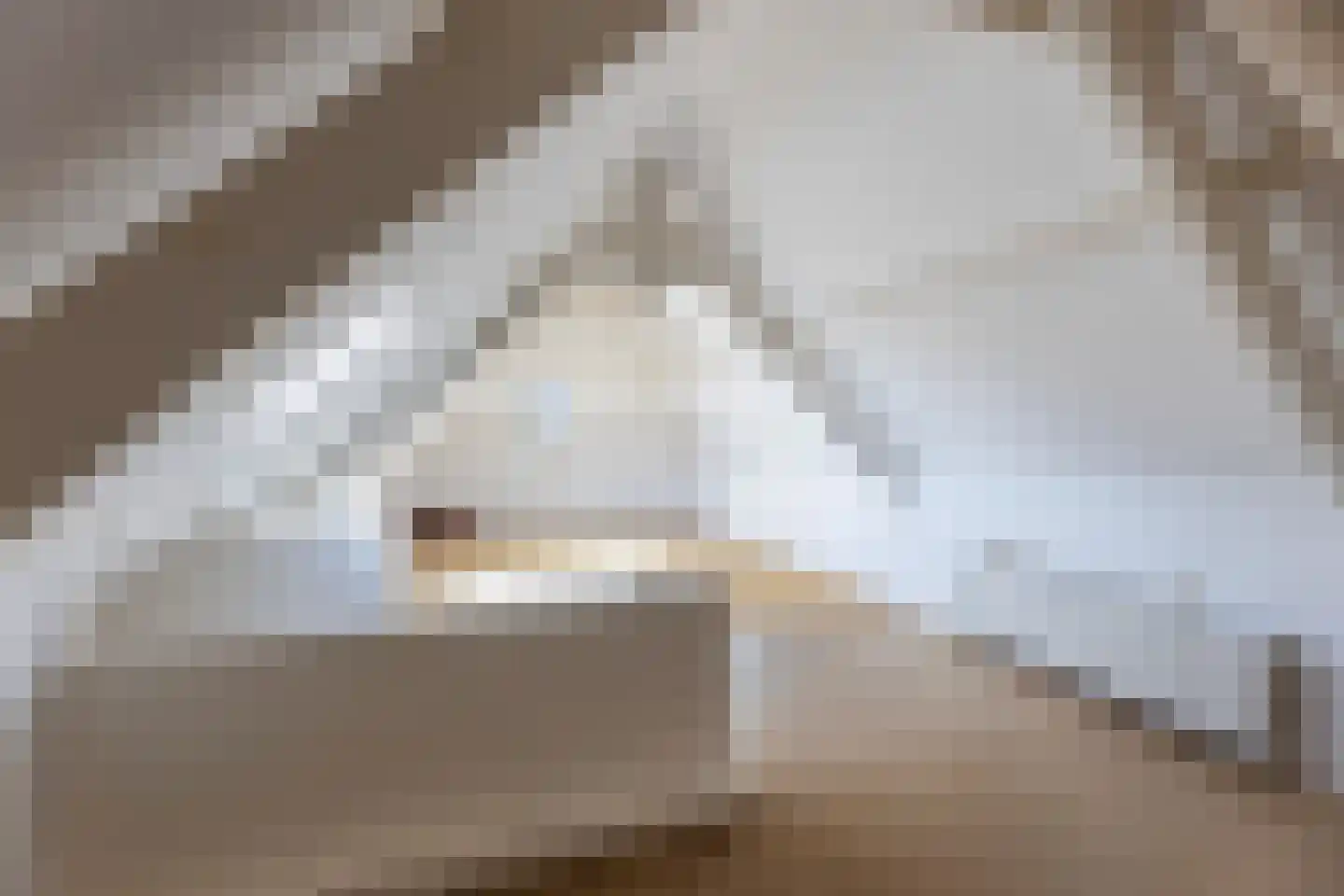 Trompstraat 2 Almelo thumbnail 44