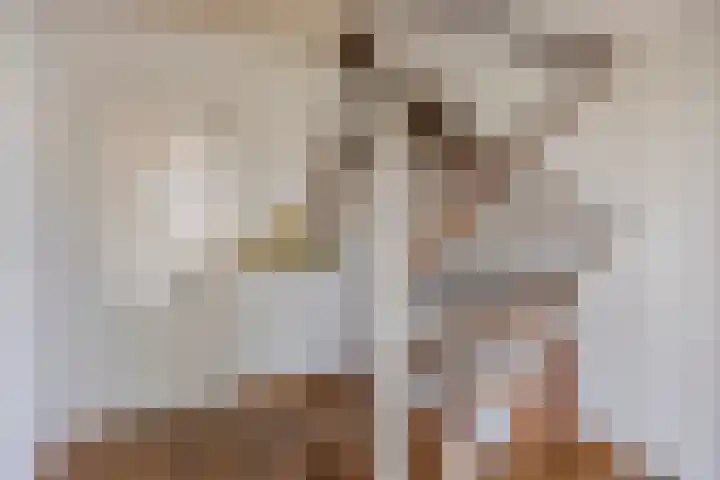 Trompstraat 2 Dongen thumbnail 12