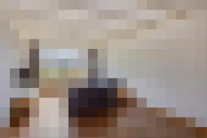 Trompstraat 2 Dongen thumbnail 15