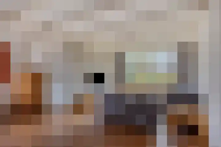 Trompstraat 2 Dongen thumbnail 16