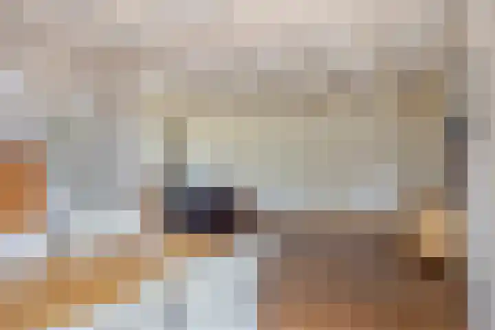 Trompstraat 2 Dongen thumbnail 20