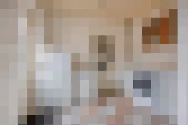 Trompstraat 2 Dongen thumbnail 28