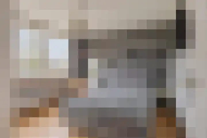 Trompstraat 2 Dongen thumbnail 35