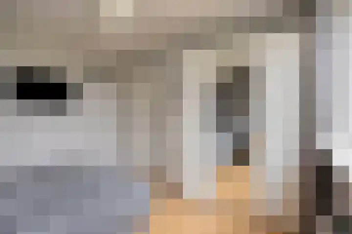 Trompstraat 2 Dongen thumbnail 36