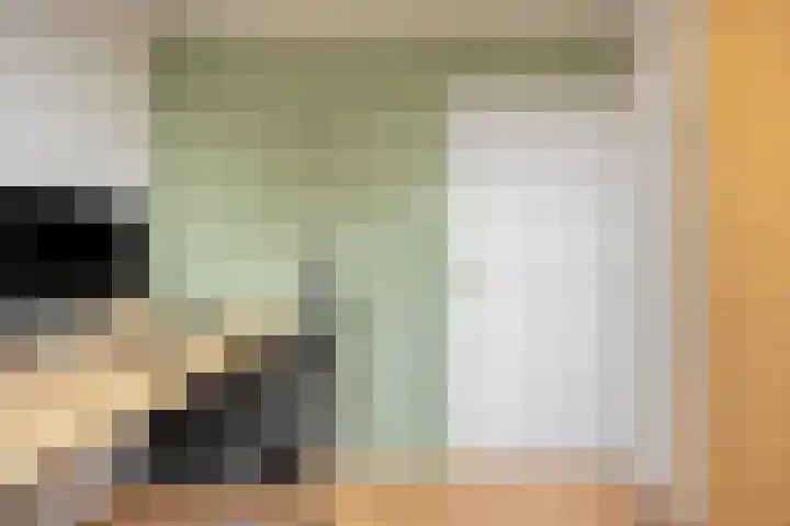 Trompstraat 2 Dongen thumbnail 38