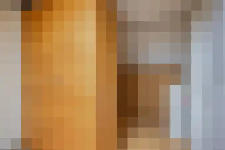 Trompstraat 2 Dongen thumbnail 40